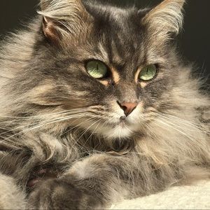 Meet your Posher, Pam